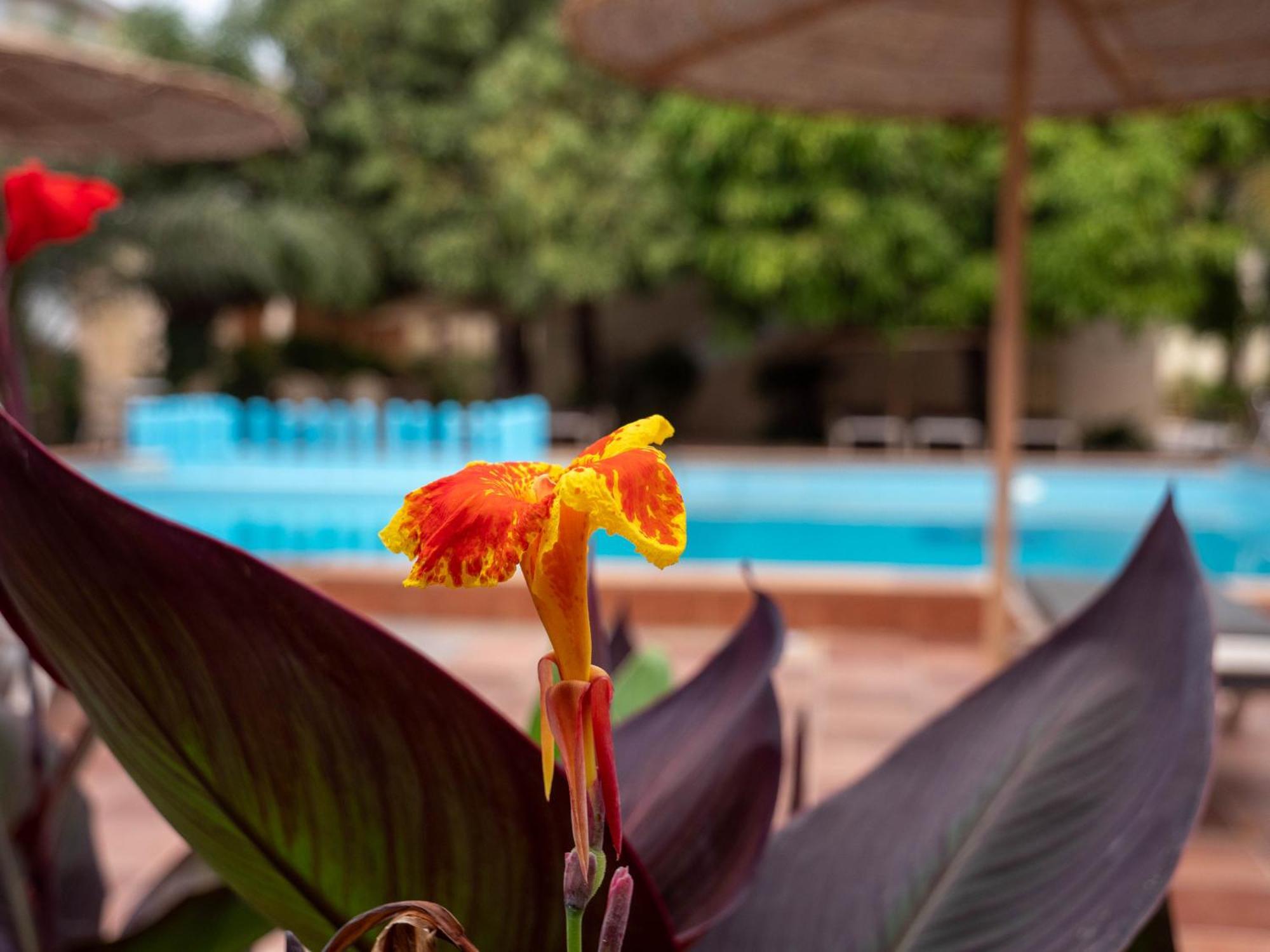 Cape Point Hotel Bakau Zewnętrze zdjęcie